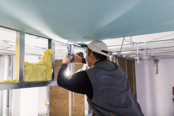 Best Spray Foam Insulation  in Boiling Springs, NC