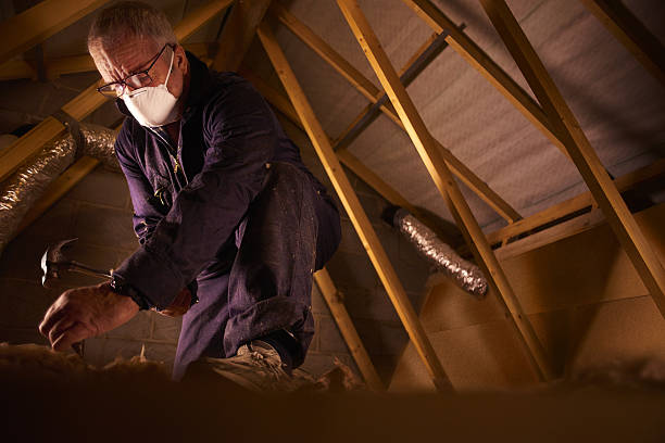 Best Attic Insulation Installation  in Boiling Springs, NC